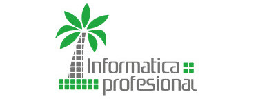 Informatica Profesional